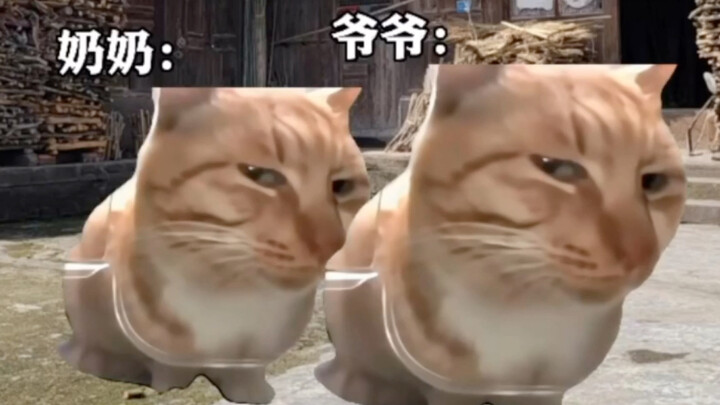 当爷爷奶奶知道孩子回家过年时