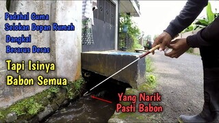 GAK NYANGKA!!! Cuma Mancing di Selokan Depan Rumah TAPI ISINYA BABON SEMUA!!!