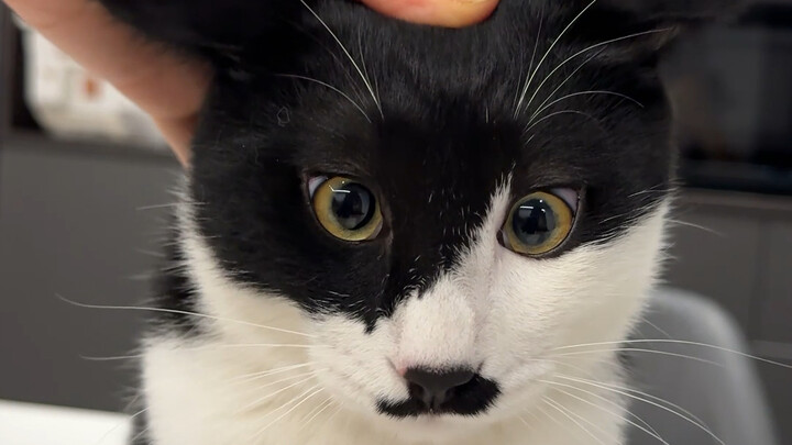 إذا كنت بحاجة إلى هدم منزل، يرجى الاتصال بصغير البطل.