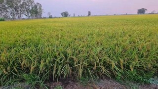 女性在要求你付出的时候，大抵心里是为了证明自己是那个值得付出，并享受这种感觉。不懂这个逻辑对不对