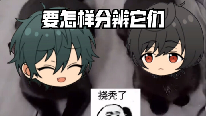 ES Sand Sculpture | Live Q&A: How to Tell Your Own Black Cat Apart