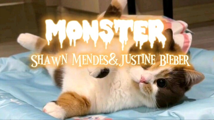 MONSTER LYRICS (Shawn Mendes and Justine Bieber)