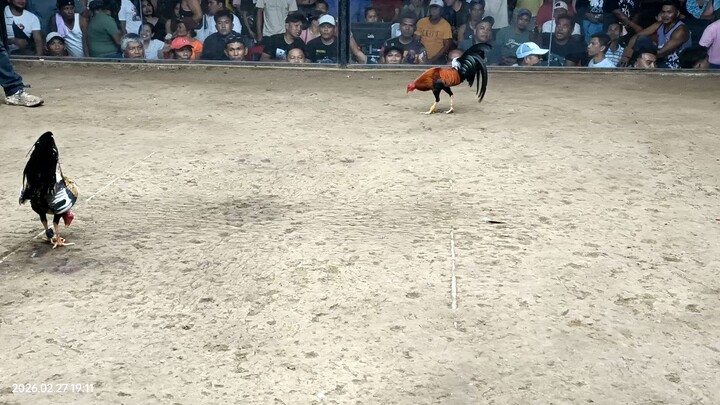 Last fight gelmore x lemon  win 💪💪💪💪