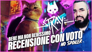 STRAY | BENE MA NON BENISSIMO | RECENSIONE CON VOTO