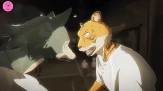 Beastars - AMV - Gravity #anime #schooltime