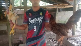 my bnabae