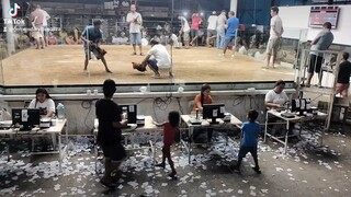 takbuhan sa sabungan