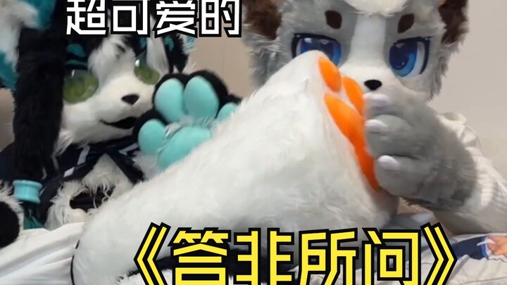 异常混乱的毛毛答非所问