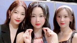 Wajah penuh kolagen, adik manis ini begitu imut! Video pendek penampilan panggung terbaru LESSERAFIM