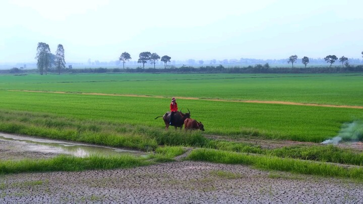 hometown romance upcoming gl series