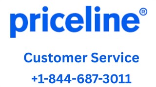 Ways To Access Priceline Customer Service By Phone, Chat, And Email: A Step-by-step
