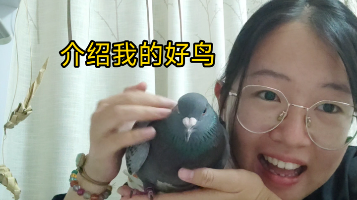 Khoe cậu Gugu của mình biết đạp chân lơ lửng, đáng yêu quá!!!