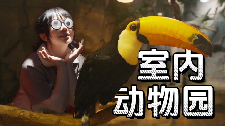 【VLOG】I discovered an indoor zoo in Chengdu—never expected it to be so interesting!!