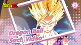 [Dragon Ball] Damn It, Who'll Watch Such Video? ㄟ( ▔, ▔ )ㄏ_2