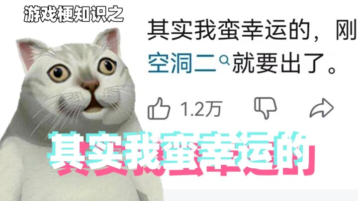 Pengetahuan tentang Meme Game: Sebenarnya Aku Cukup Beruntung