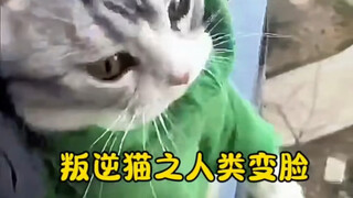 Kucing: Bukan itu yang baru saja kau katakan?