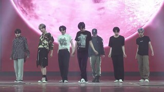 ENHYPEN - 'Criminal Love' Dance Practice Mirrored