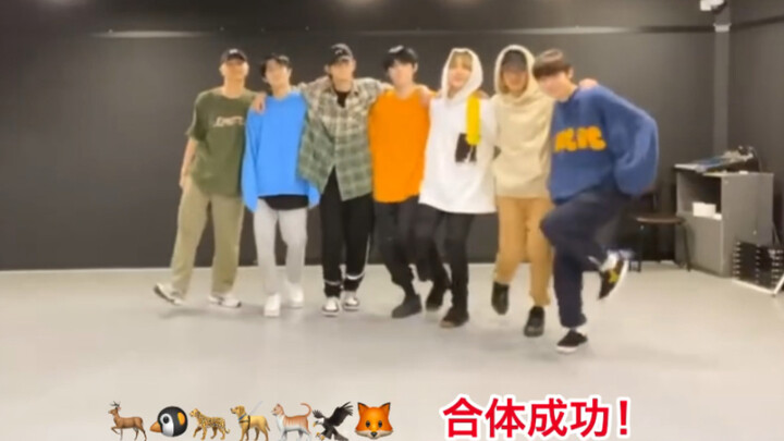 【ENHYPEN】“人间羲铁石”李羲承：我的目标就是要集齐七个符娃