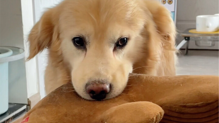 إذا ما ناديتِه باسمه، يتلطف ويتدلل؛ لكن إذا ناديتِه باسمه، يبدأ بغلي الماء!