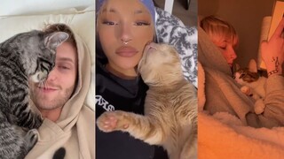 每只小猫咪都该自觉成为贴贴猫!!