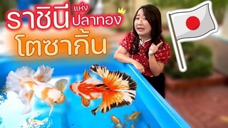 ตำนานโตซากิ้นราชินีแห่งปลาทอง (Tosakin)EP.252