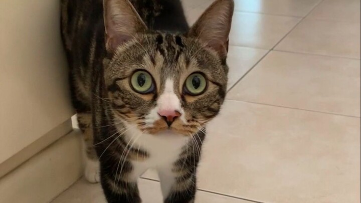 เราทุกคนมีรองเท้า [ฉี่เป็นแมว]