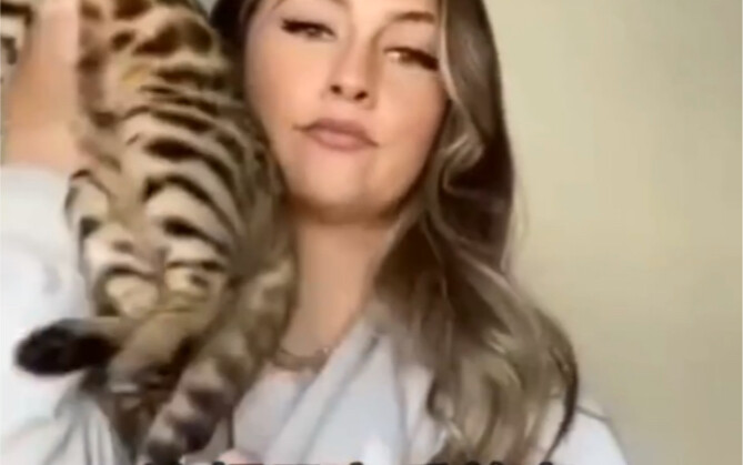 Áo hoodie có mũ mặc ngược vừa khéo nhét được cả mèo vào, nhưng… trừ lợn ra nhé!