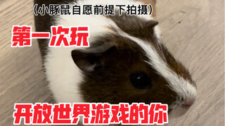 第一次玩开放世界游戏的你