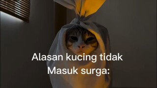 kucing tidak masuk surga