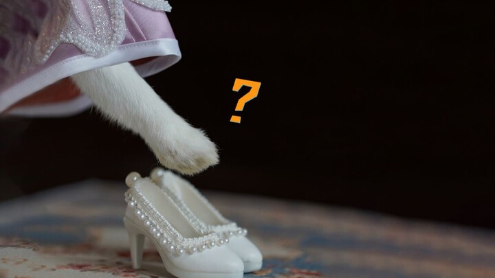 Do little bunnies dream too?