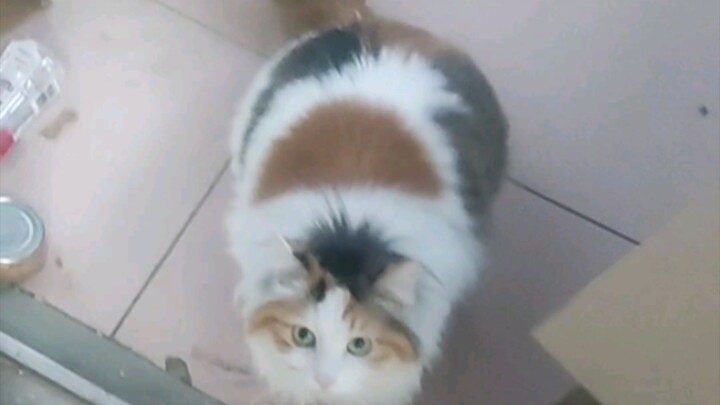 Sau ba tuần đi công tác về…