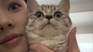 ไม่มีลูกแมวตัวไหนที่ถ่ายรูปไม่สวย มีแต่เจ้าของที่หามุมถ่ายไม่เป็นเท่านั้น