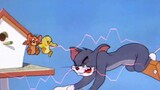 [Tom và Jerry] Không biết xấu hổ Điểm điên rồ số 5 của Tom và DJ Jerry
