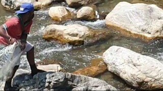 Cast Netting in Nepal | Himalayan Trout Fishing with Handmade Cast Net |