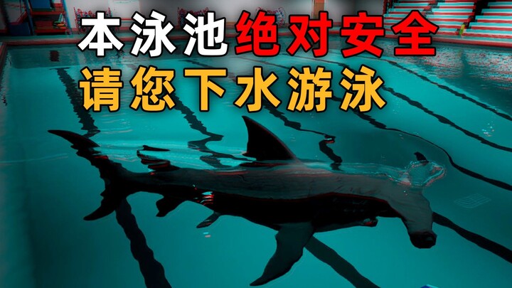 Bể bơi này hoàn toàn an toàn, hãy bơi ngay đi! |Game kinh dị độc lập Sharks and Minnows