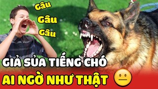 Chàng trai thử Sủa Tiếng Chó, ai dè giống như thật khiến chó hàng xóm hoang mang 😂 | Yêu Lu