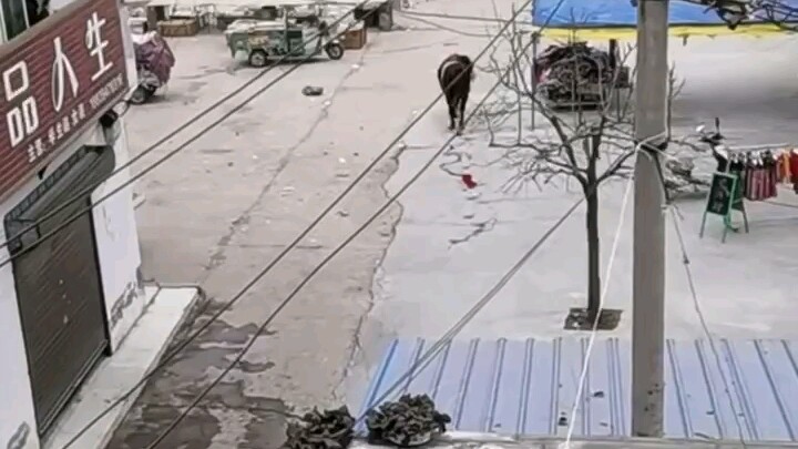 瞬间就冷静下来了