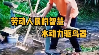 劳动人民的智慧，水动力驱鸟器。#科普 #解压 #劳动 #极度舒适