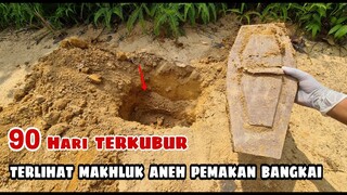 EKSPERIMEN: SETELAH 90 HARI DIKUBUR, TERLIHAT MAKHLUK ANEH PEMAKAN JASAD (MAKHLUK HIDUP)