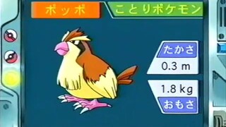 オーキド博士のポケモン講座(ポッポ)