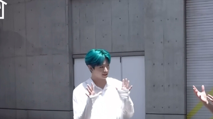 【قطع المواد السابقة】يوشي تحدّي EWF القط الأخضر من وراء الكواليس