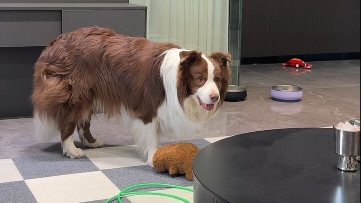 หยูจื่อ: ห้ามโดนกับดักเด็ดขาด!