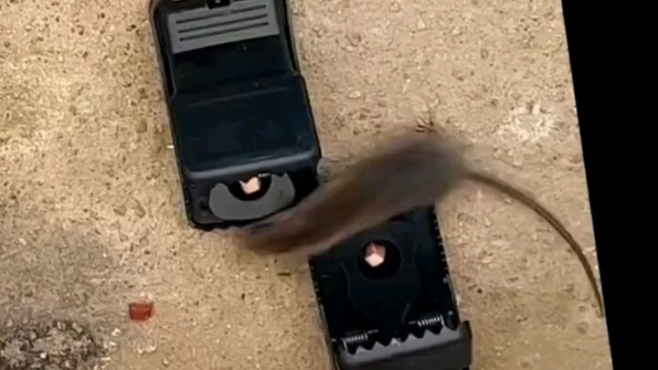 Serangan dari Depan dan Belakang