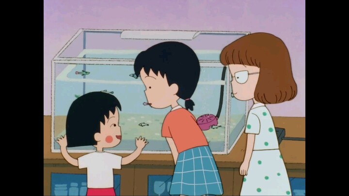 maruko memelihara ikan tropis
