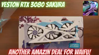 Yeston RTX 3080 - You Need The Waifu Sakura!!!