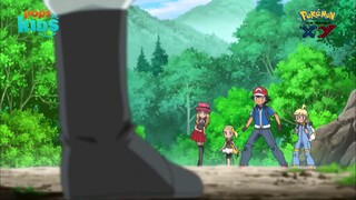pokemon xy 30 (214) h