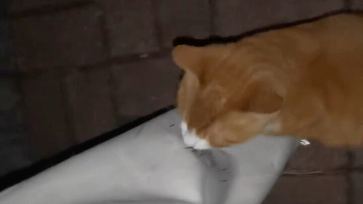 คนๆ นั้น อย่ากลัวนะ มี่จะช่วยจัดการให้เอง!