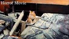 The House Eif Full Adventure Magical Movie | Hindi Dubbed | Hollywood Full Movie