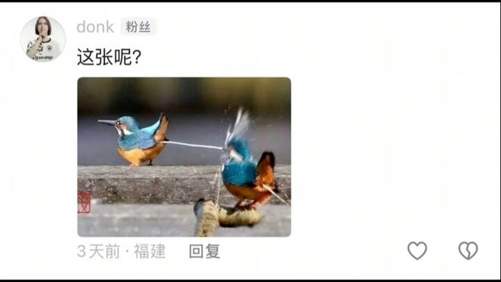 评论区摄影作品锐评，专治不开心，看完不笑的可以确诊抑郁症了！