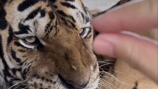 Nam Nam nhỏ xíu cũng rất đáng yêu đó!